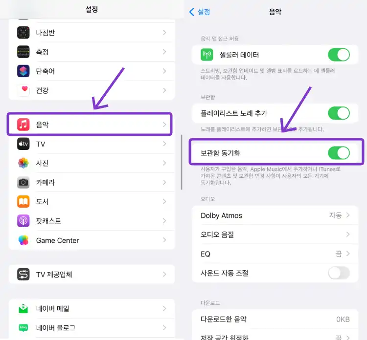 애플노래 이미지