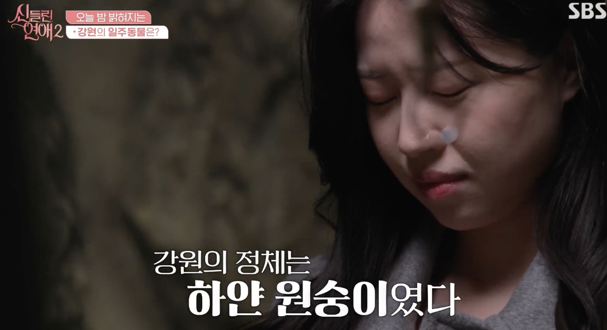 신들린 연애 이강원