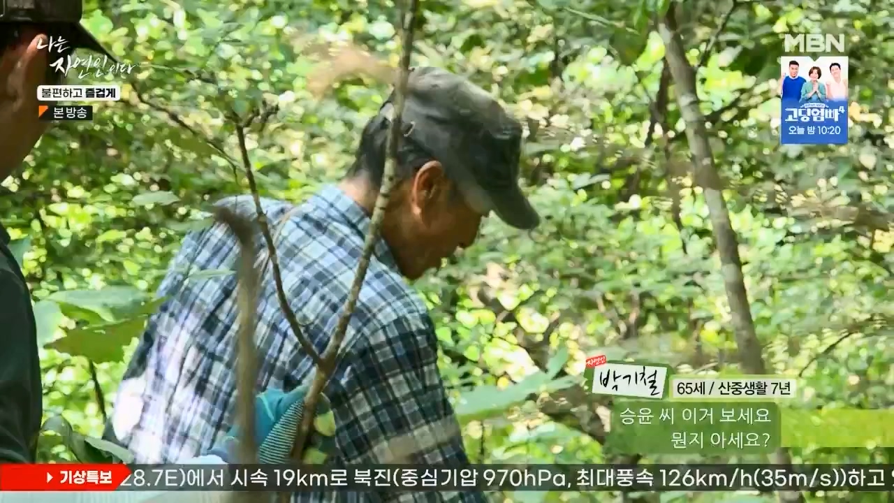 나는 자연인이다.E566.230810p.WANNA.mp4_20230810_202557.467.jpg