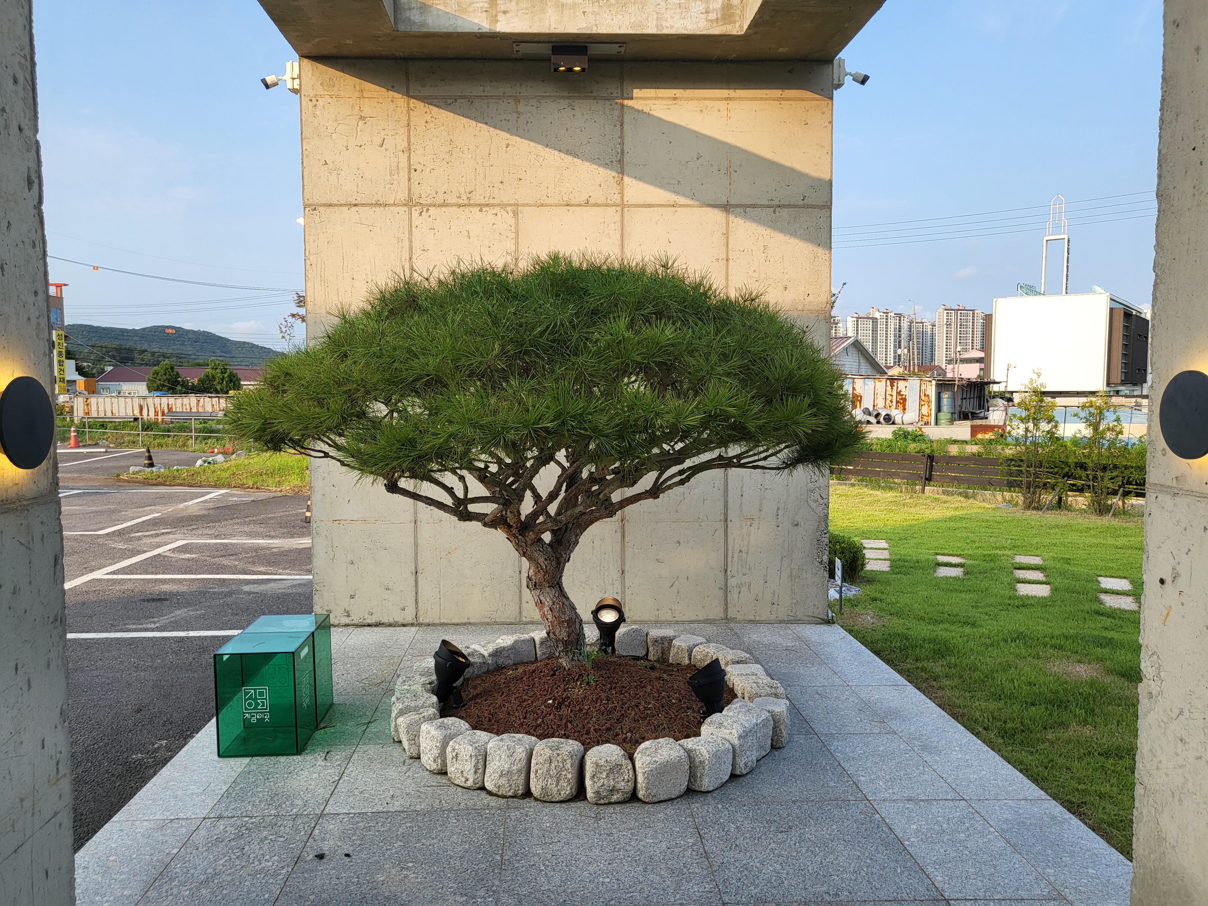 지금이곳 - 입구 데코 나무