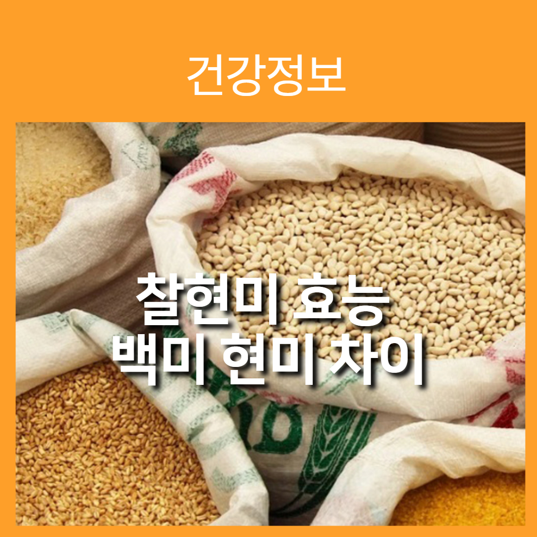 현미의 효능과 찹쌀현미의 부작용을 정리해보겠습니다.