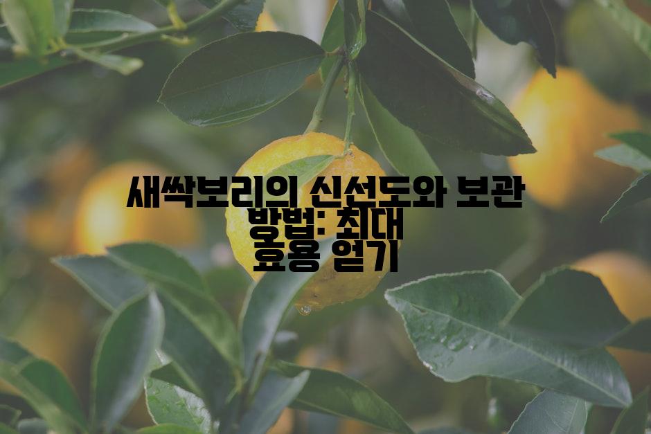 새싹보리의 신선도와 보관 방법: 최대 효용 얻기