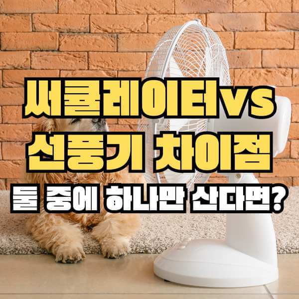 써큘레이터 선풍기 차이