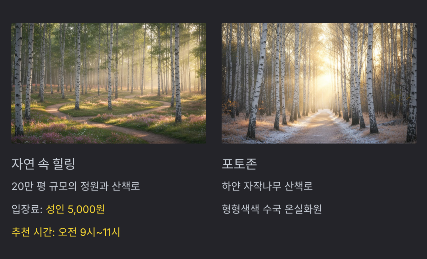 자작나무숲