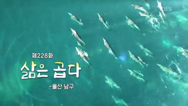 [228회] 동네 한 바퀴 - KBS.ts_20230803_203631.579.jpg