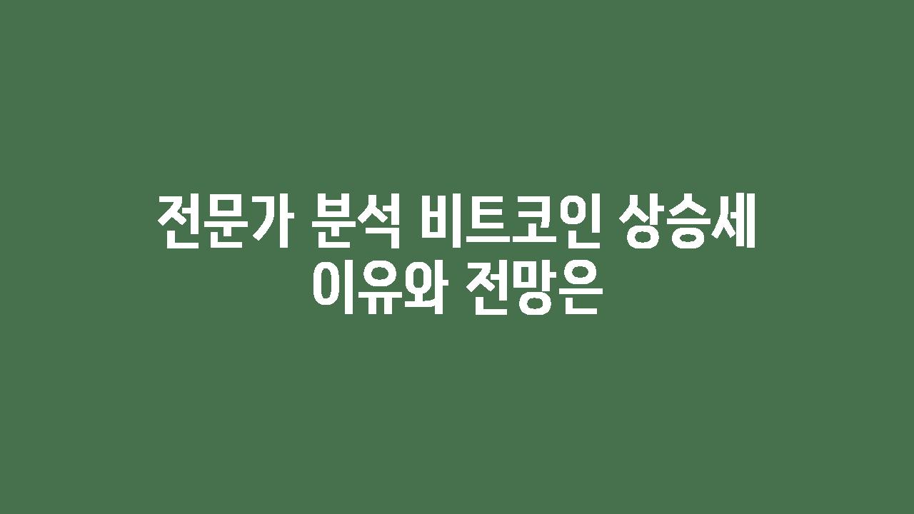 전문가 분석 비트코인 상승세 이유와 전망은