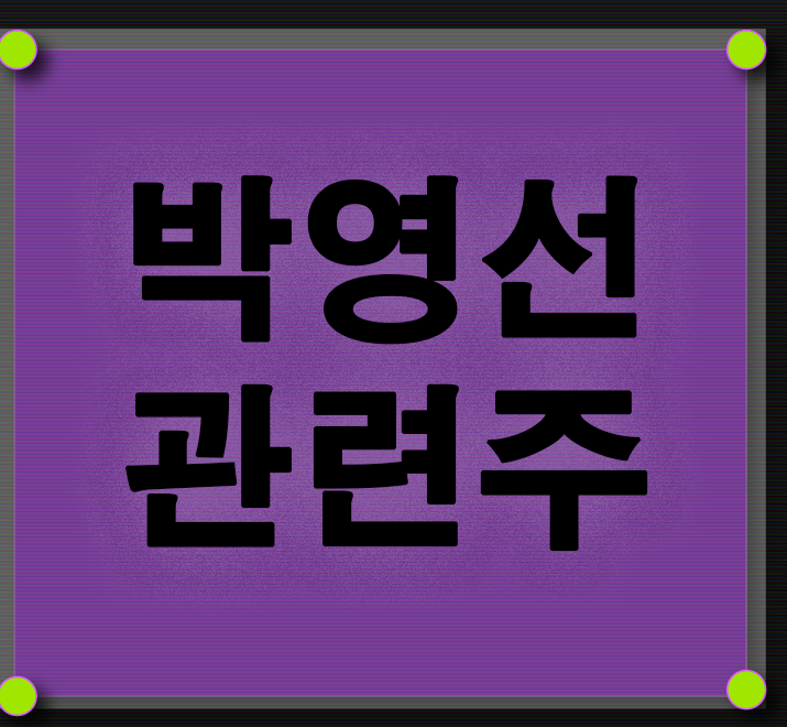  박영선 관련주