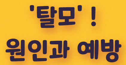  탈모의 원인과 예방법
