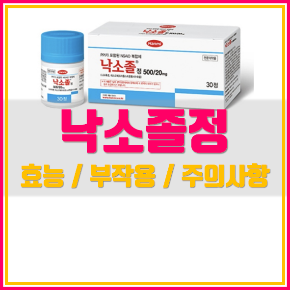  낙소졸정500/20mg 어떤 약인가요?