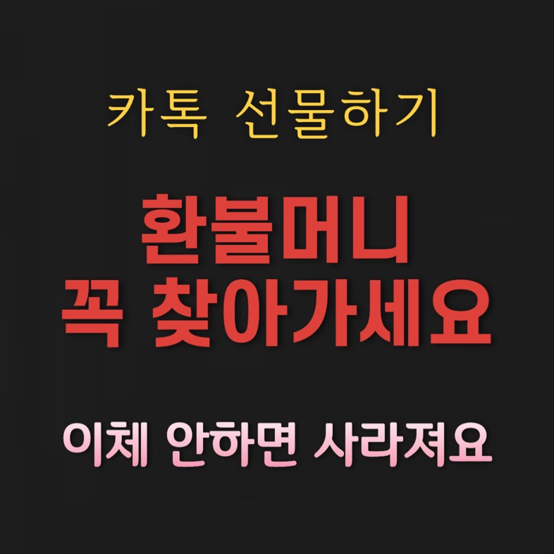 카카오톡 환불머니 출금하기 (방법·오류해결) 카카오톡 환불머니 출금하기 (방법·오류해결)