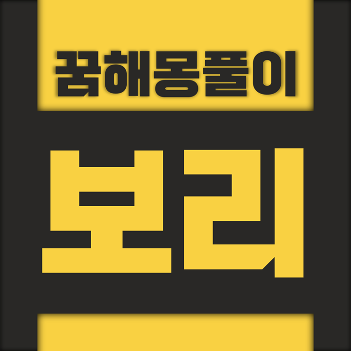  [꿈해몽풀이] 보리 꿈해몽 모음