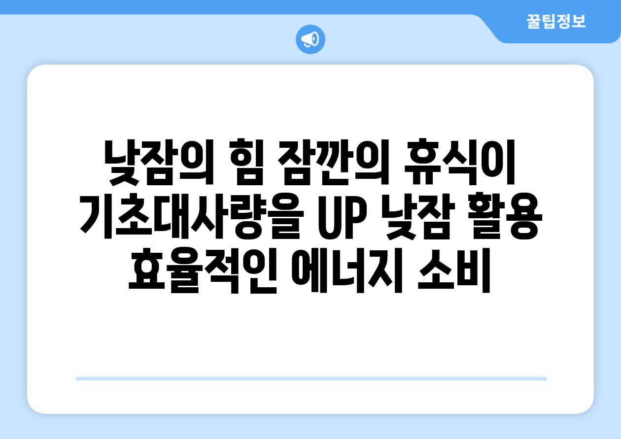 낮잠의 힘 잠깐의 휴식이 기초대사량을 UP 낮잠 활용 효율적인 에너지 소비