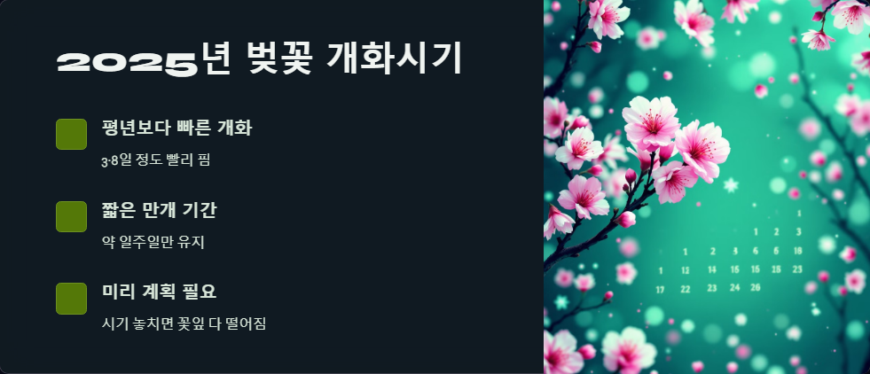 2025년 벚꽃 명소 추천