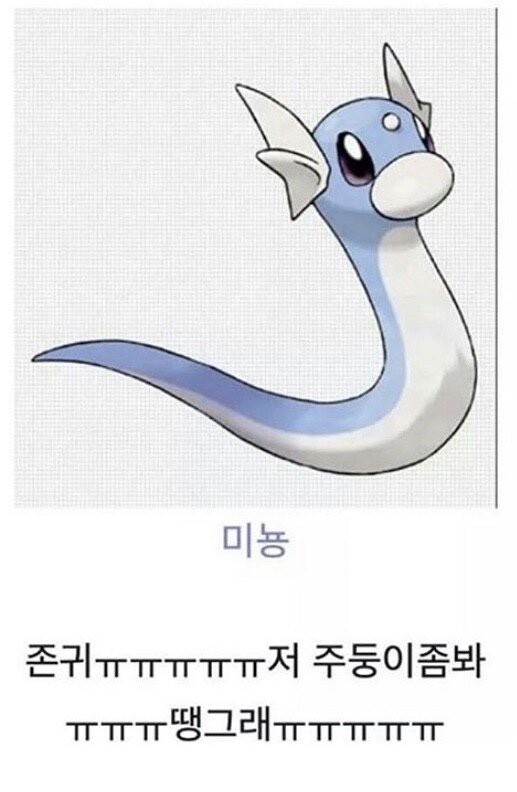 미뇽 이미지