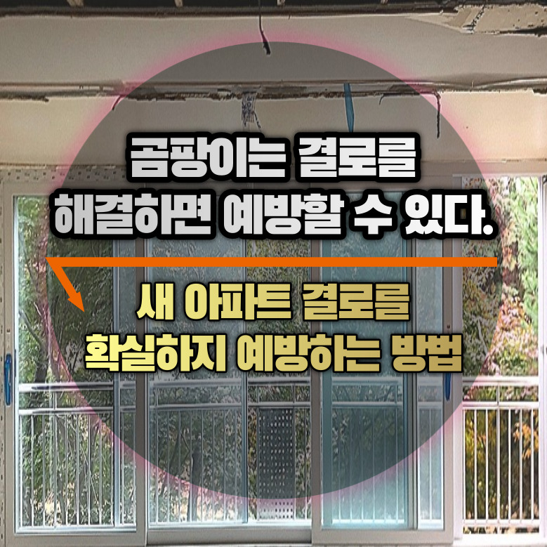 곰팡이는 결로를 해결하면 예방할 수 있다.