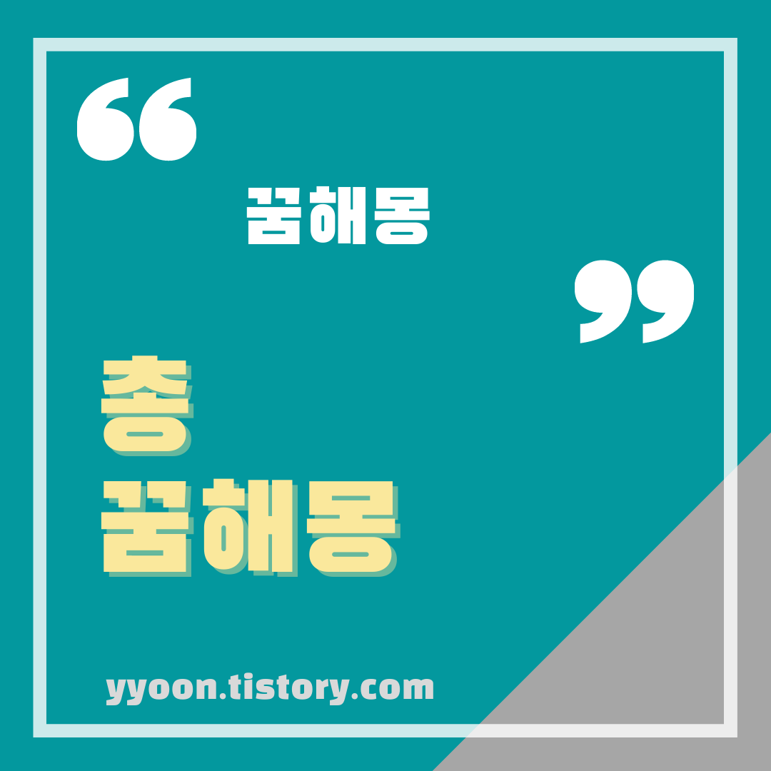  [꿈해몽] 총 꿈해몽 / 총맞는 꿈 총으로 사람 죽이는 꿈 총알을 피하는 꿈