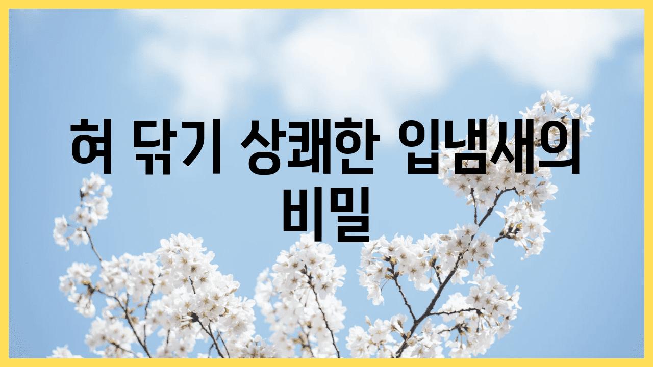 혀 닦기 상쾌한 입냄새의 비밀