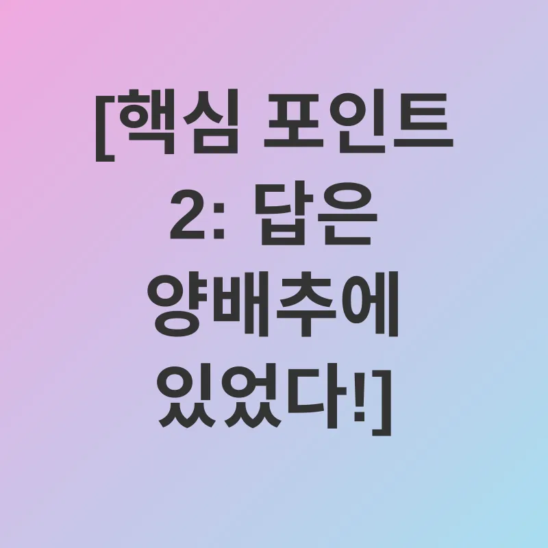 위 건강 관리_2
