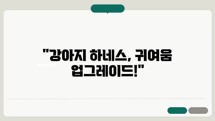 강아지 하네스! 귀여운 강아지를 위한 필수 아이템