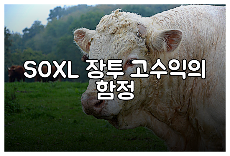 SOXL 장투 고수익의 함정