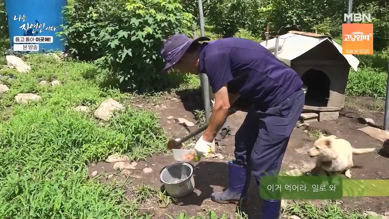 나는 자연인이다.E614.240718p-NEXT.mp4_20240718_195151.236.jpg