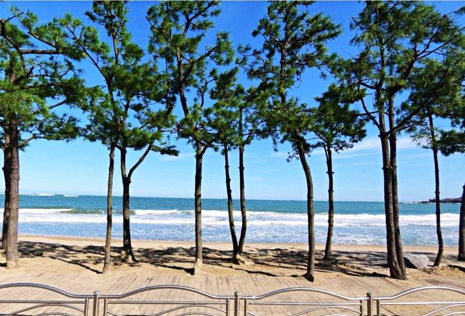  울산 캠핑장 울주 해양레포츠센터