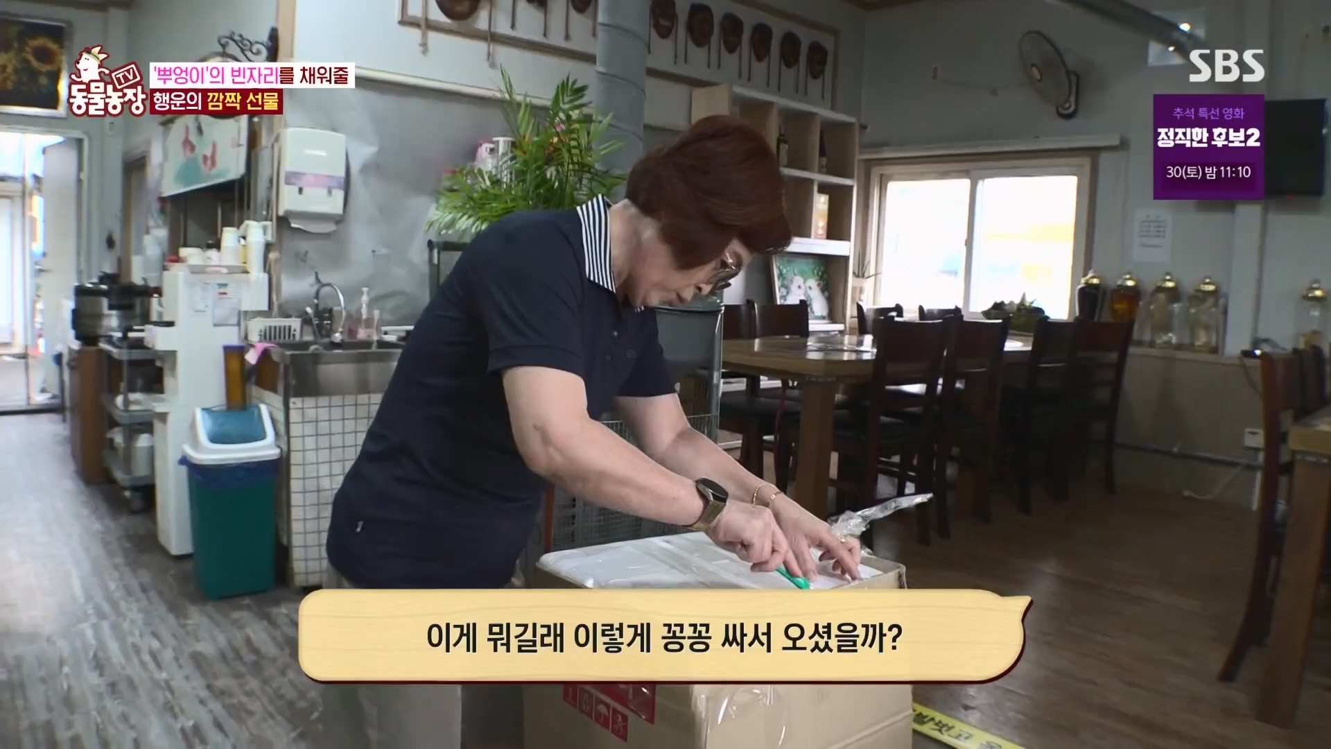 TV 동물농장.E1139.230924p.H264-F1RST.mp4_20230924_172342.298.jpg