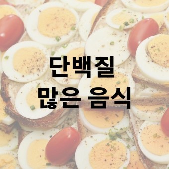  단백질 쉐이크 단백질 많은 음식