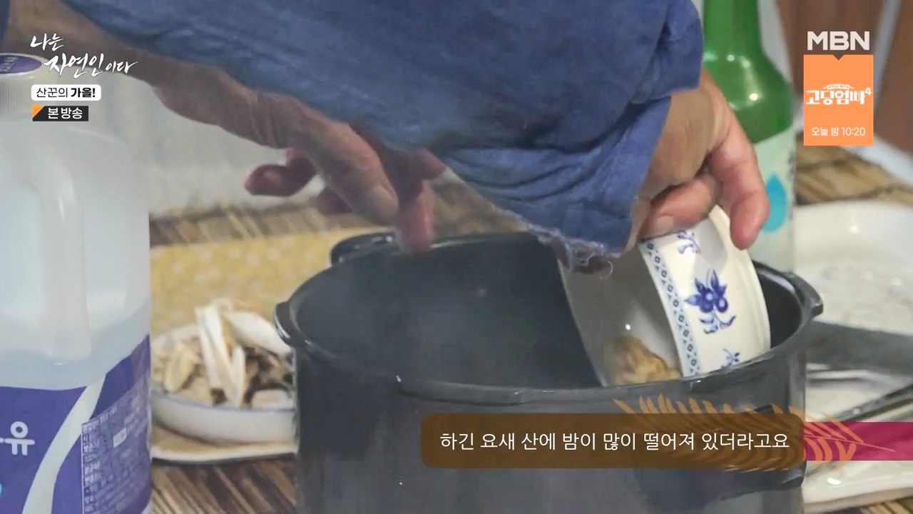 나는 자연인이다.E574.231005p-NEXT.mp4_20231005_200558.508.jpg
