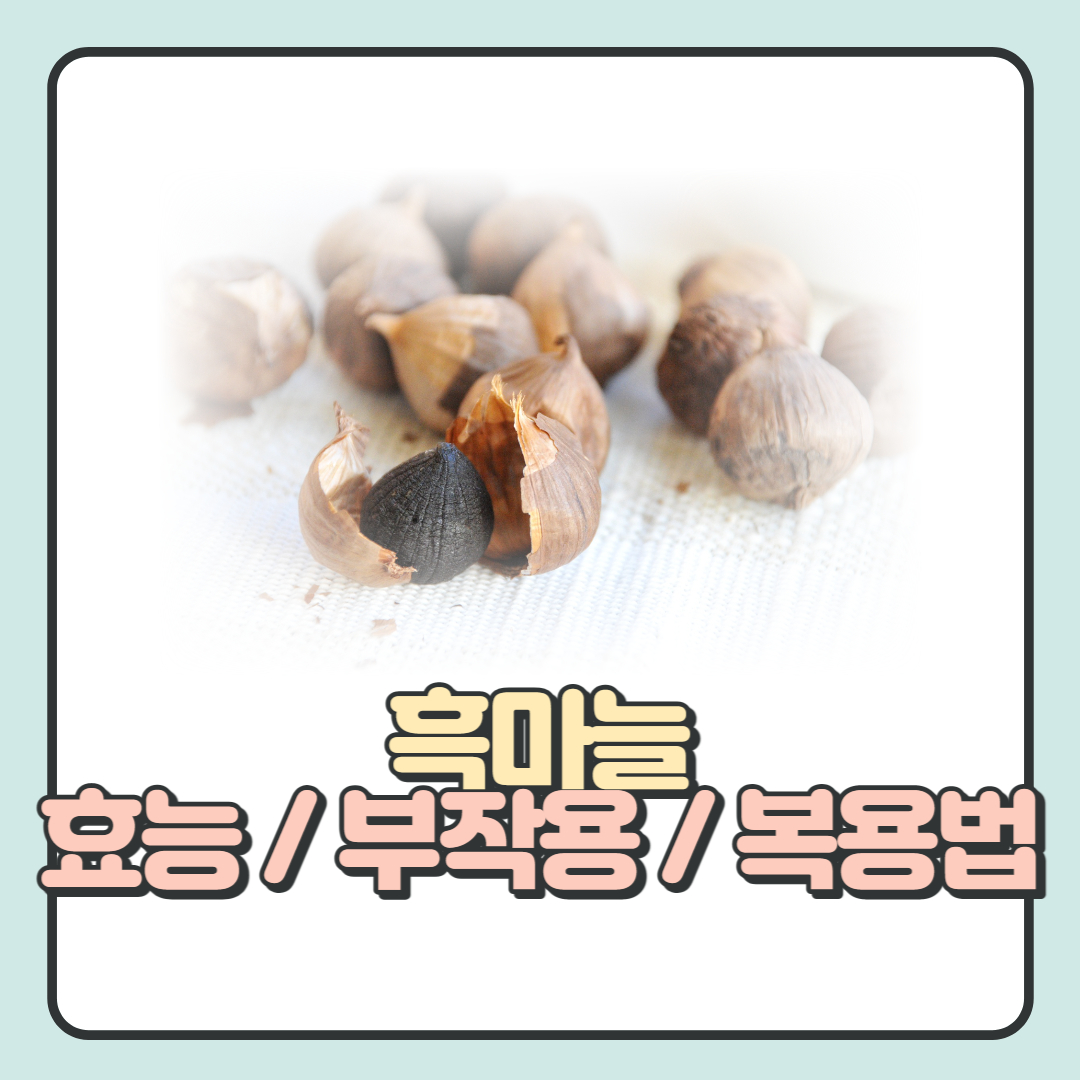  흑마늘 효능과 부작용, 올바른 복용법에 대해 알아보자