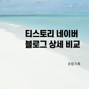  티스토리 네이버 블로그 상세 비교(수익, 체험단, 이웃, 조회수, 난이도 등)