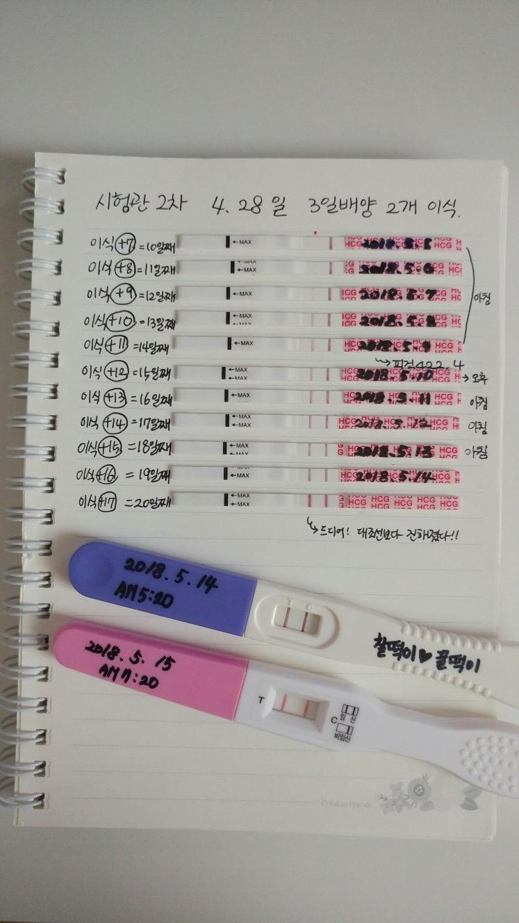  AurumTwins=서서남매
