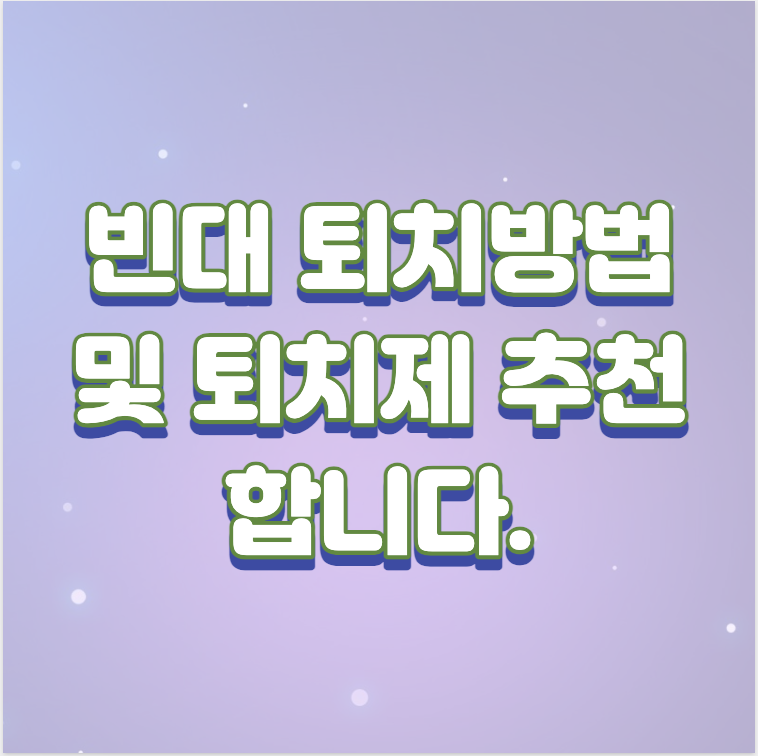  빈대 퇴치방법 및 퇴치제 추천 합니다.(더쿠 글 요약)