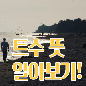  트수 뜻