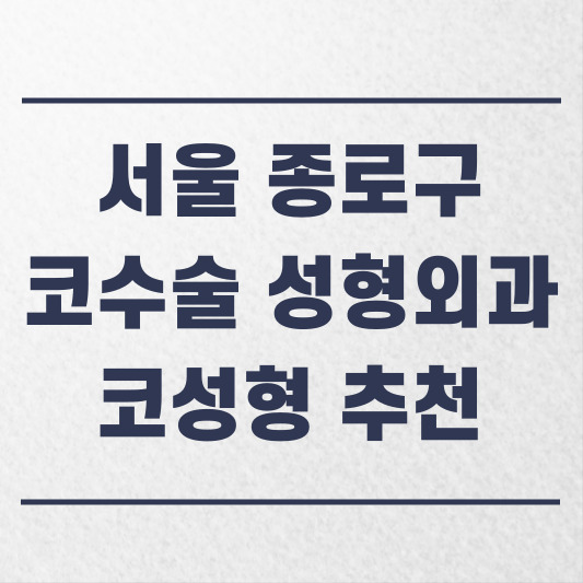 서울 종로구 코수술 성형외과 추천 코성형 잘하는 곳 가격 비용 금액 후기 .jpg