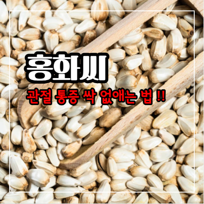 홍화씨 효능과 부작용 및 먹는법