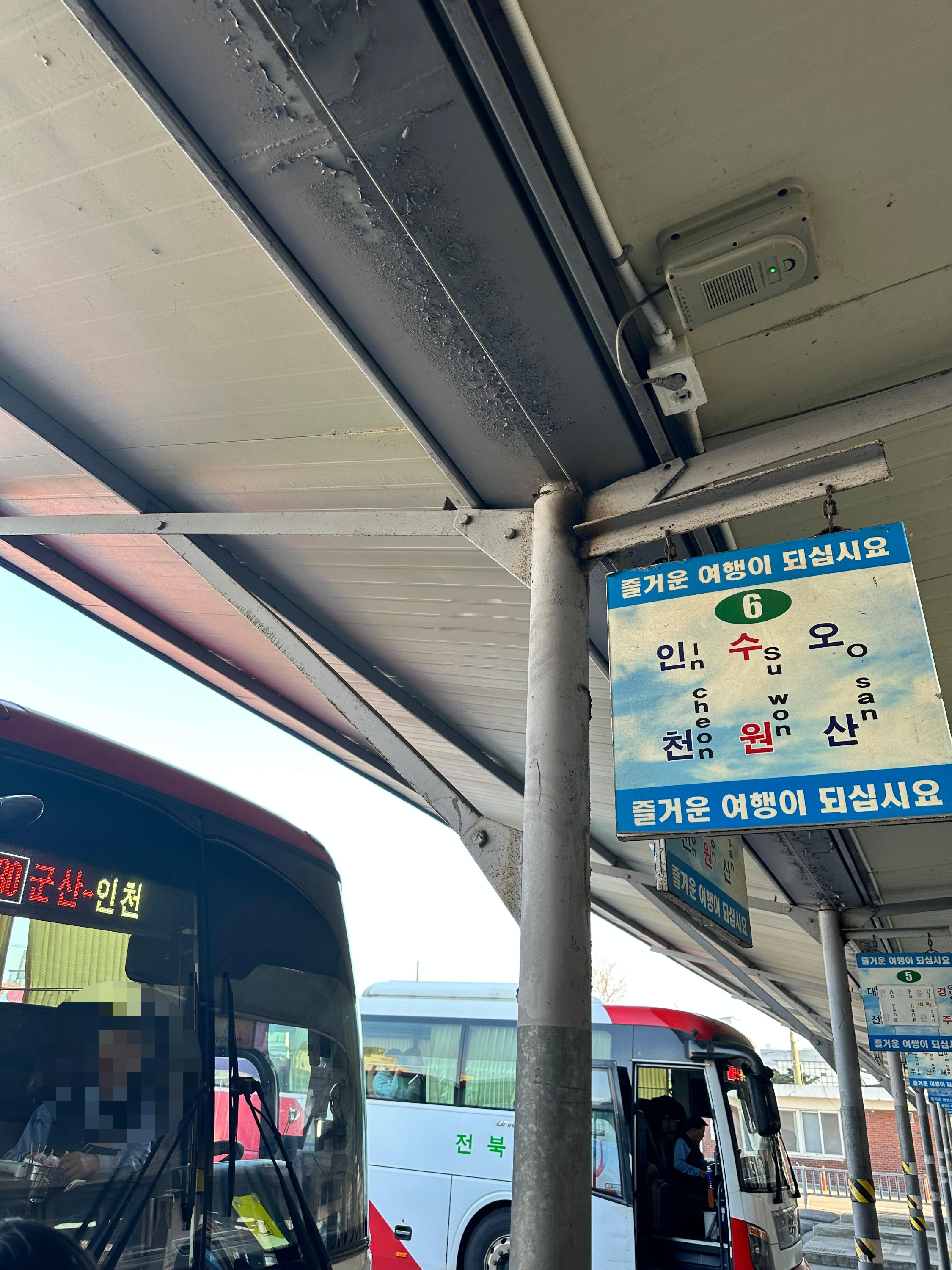 1박2일옛날짜장 이미지