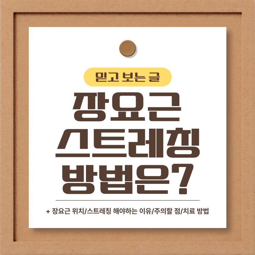  장요근 스트레칭 방법은?