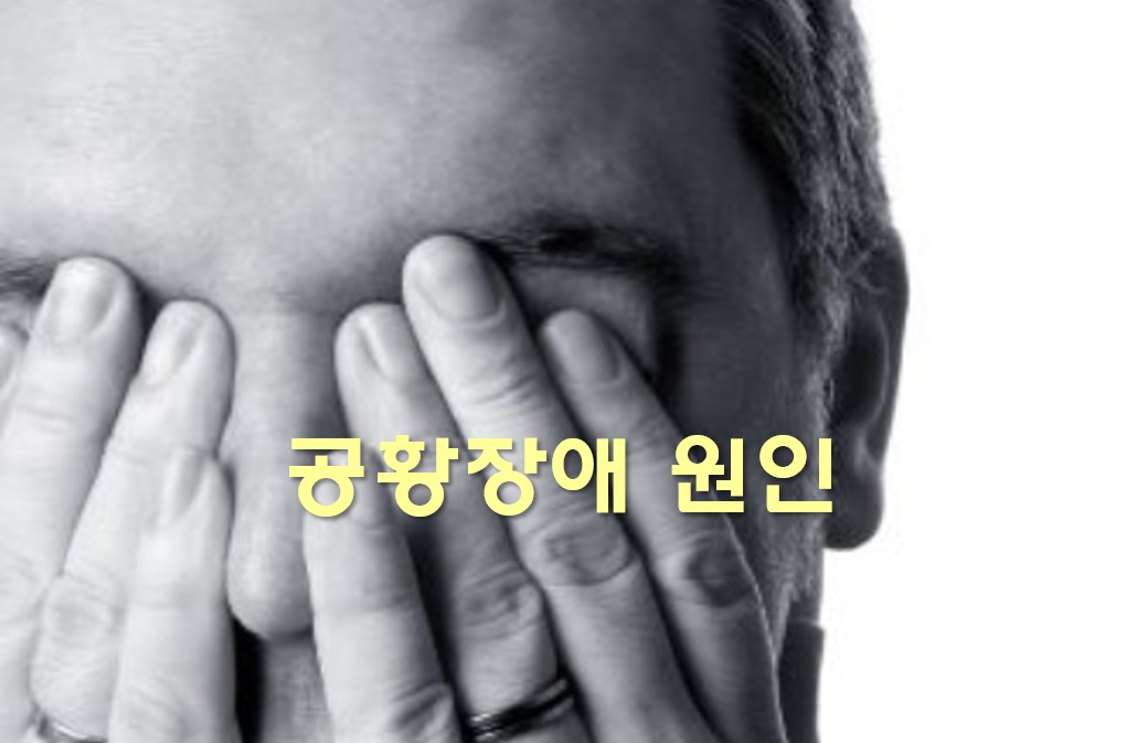  공황장애 원인과 공황장애 약 부작용