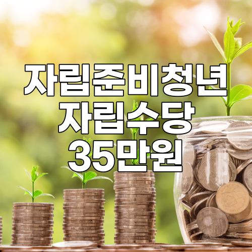  자립준비청년(보호종료아동) 자립수당 35만 원 신청하기