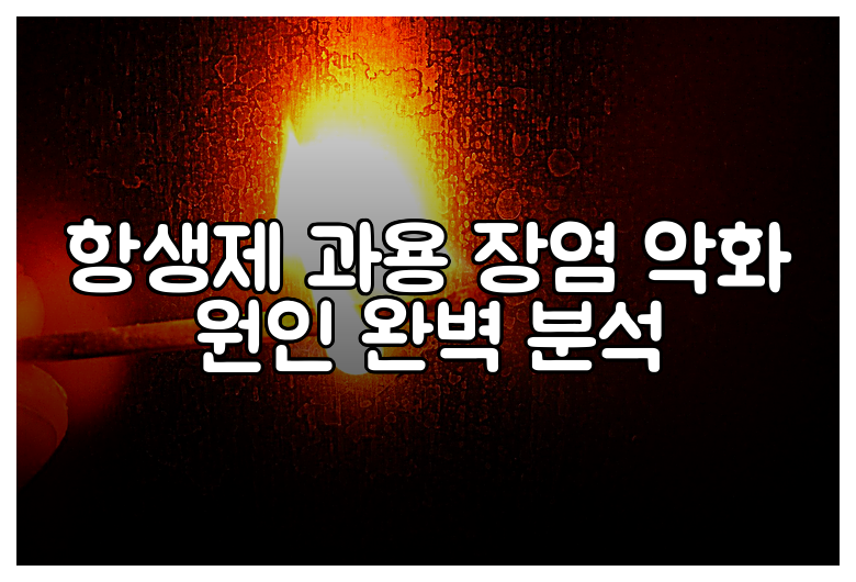 항생제 과용 장염 악화 원인 완벽 분석