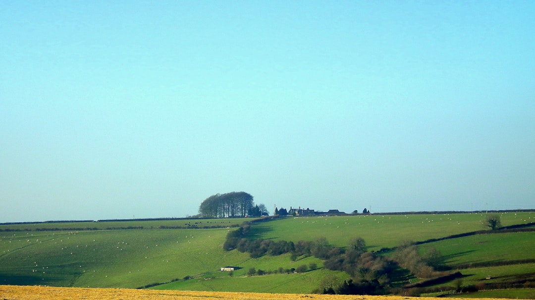 'Hiilsstate'