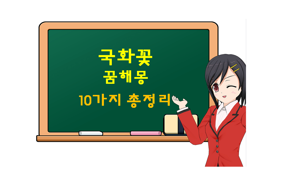  국화 꿈 해몽 10가지 총정리