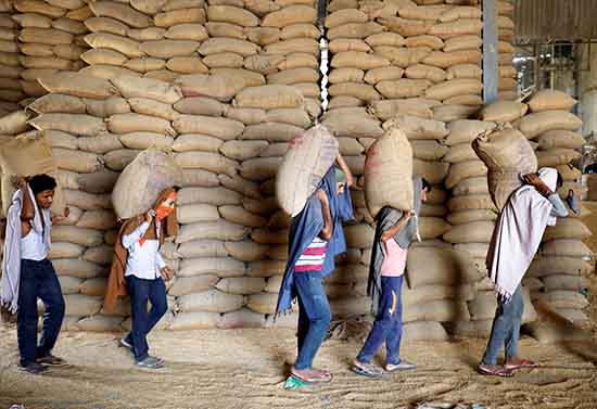 인도&#44; 에탄올 프로그램으로 향후 설탕 수출 제한