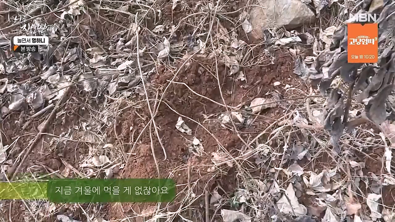 나는 자연인이다.E538.230126p-NEXT.mp4_20230126_194028.067.jpg