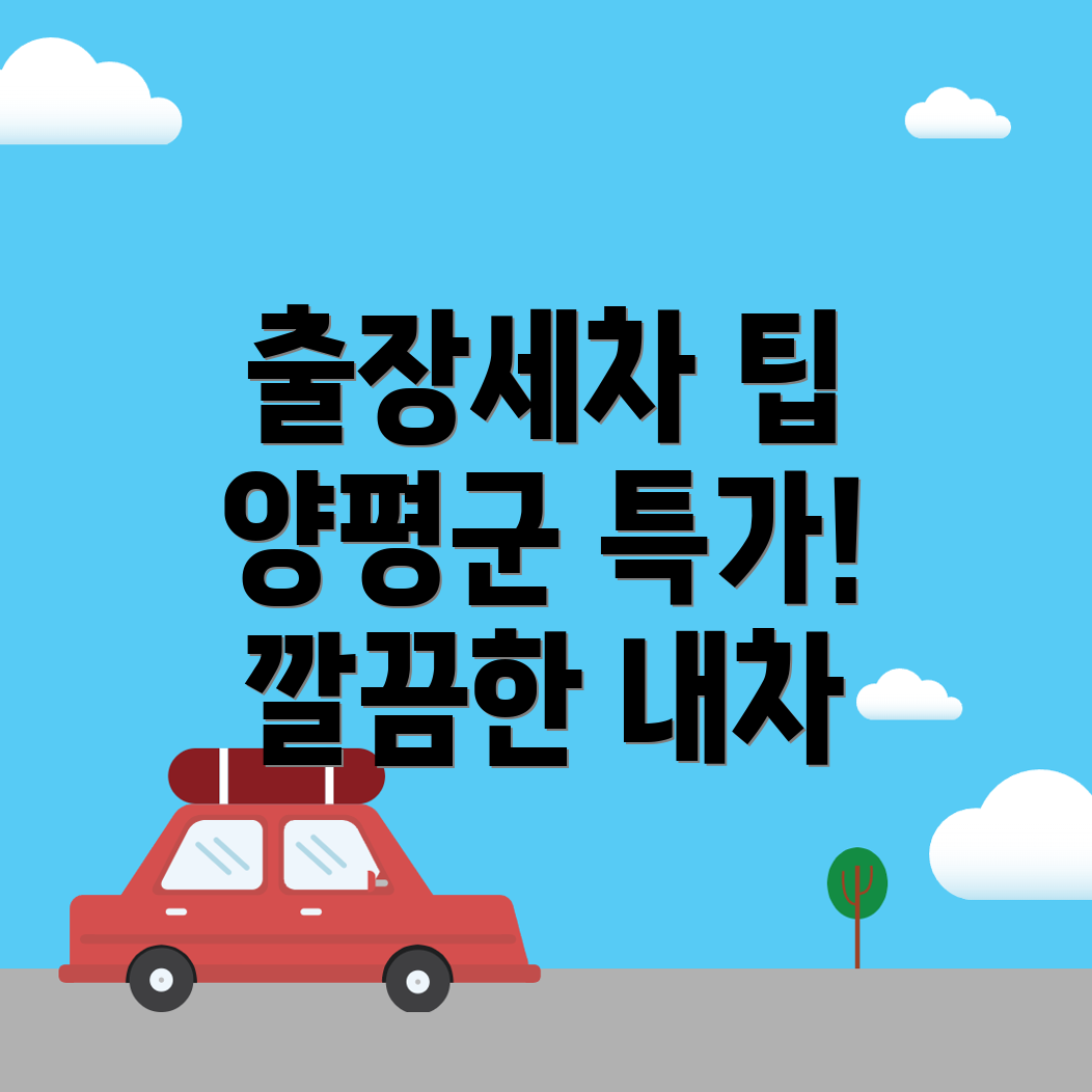 양평군 출장세차