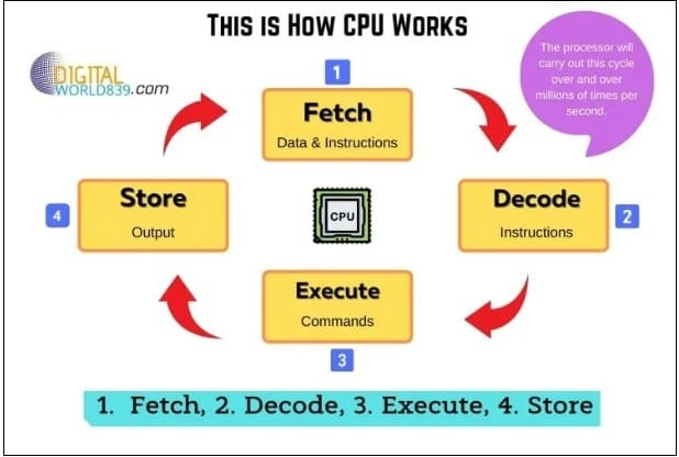 알 것 같은데도 잘 모르는 &#39;CPU 프로세서&#39;...컴 성능의 핵심 차이점와 선택은? VIDEO: How a CPU Works : CPU Typ