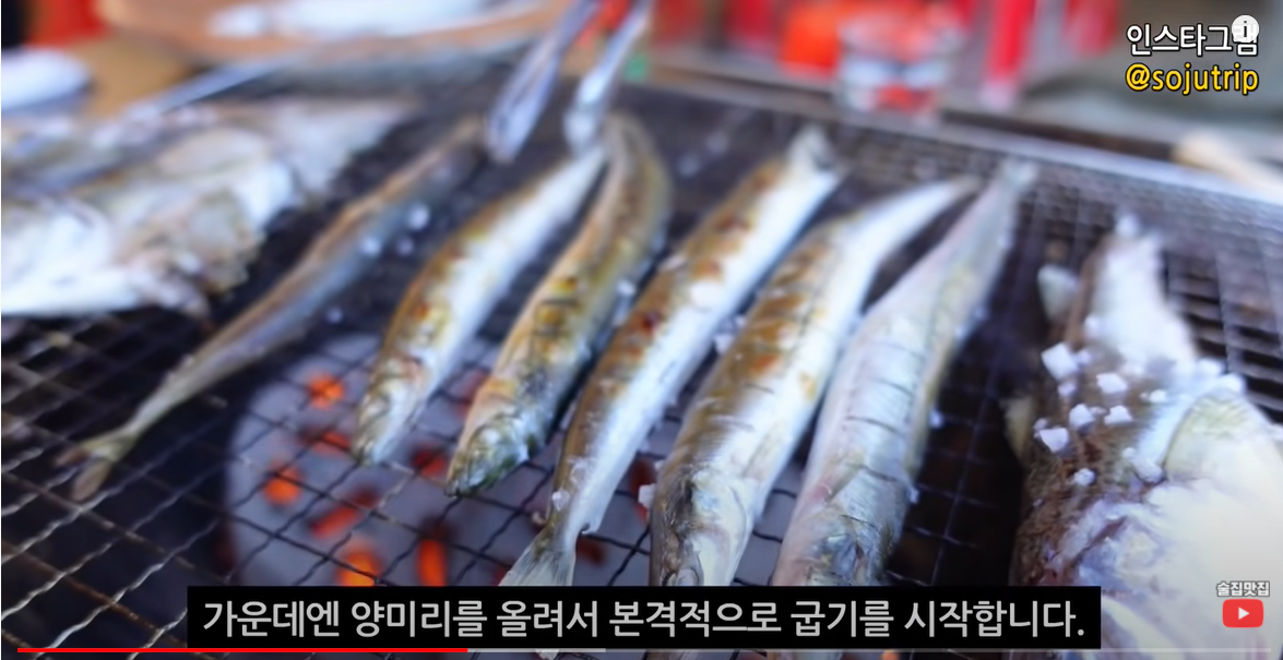 당일치기로 다녀온 속초 맛집 오징어 난전! 양미리 알도루묵! 시즌 시작! 시세, 현지인 팁