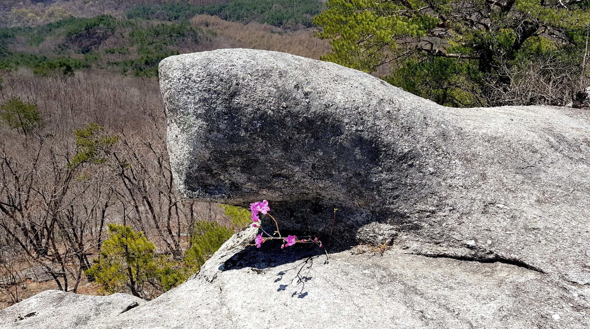 거창 현성산
