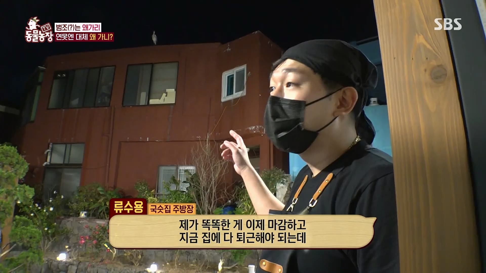 TV 동물농장.E1103.230108p.H264-F1RST.mp4_20230108_174632.836.jpg